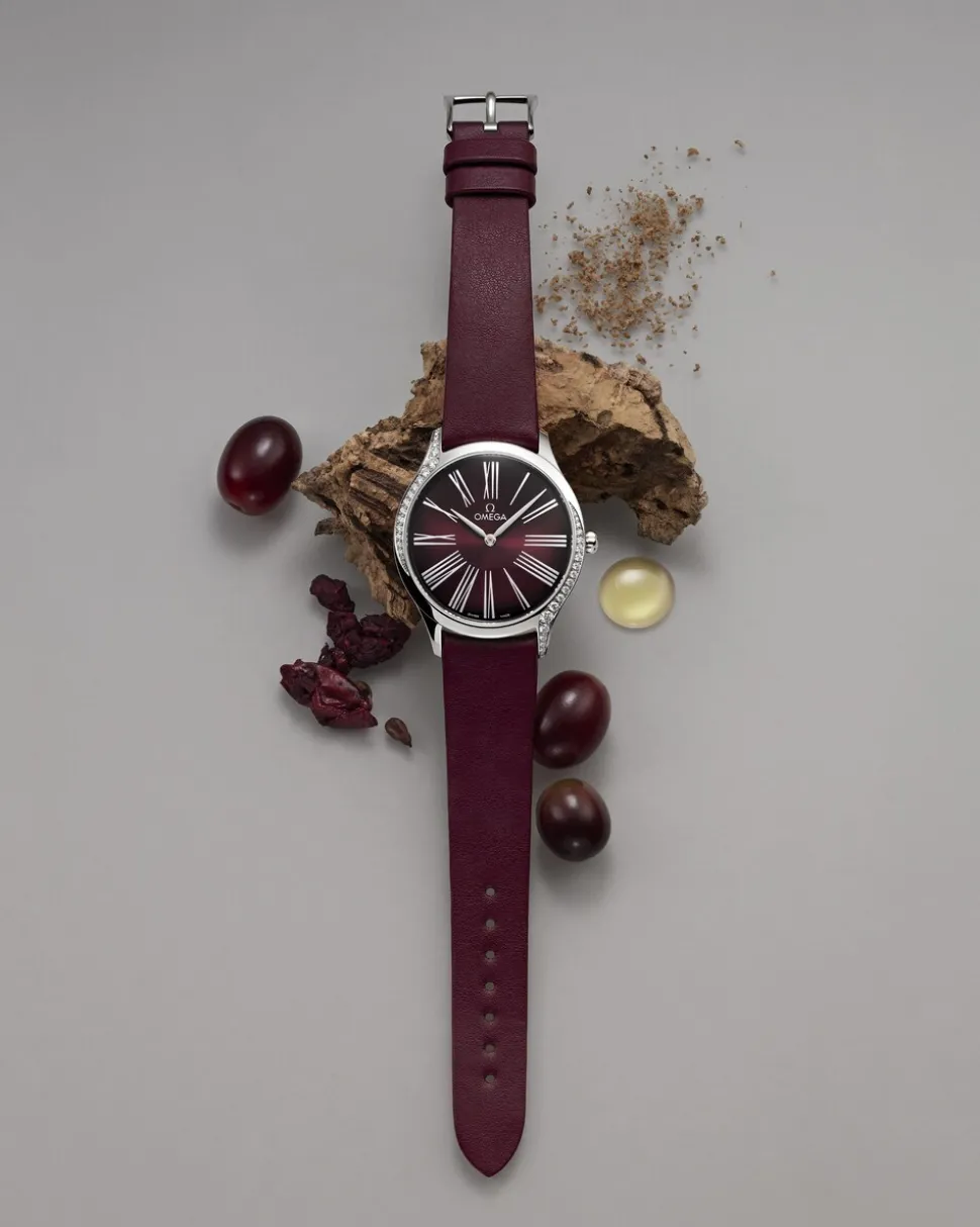 Burgundy vegan strap with pin buckle
