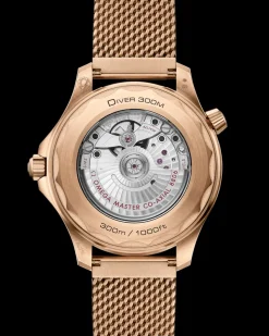 42 mm, Bronze gold on Bronze gold