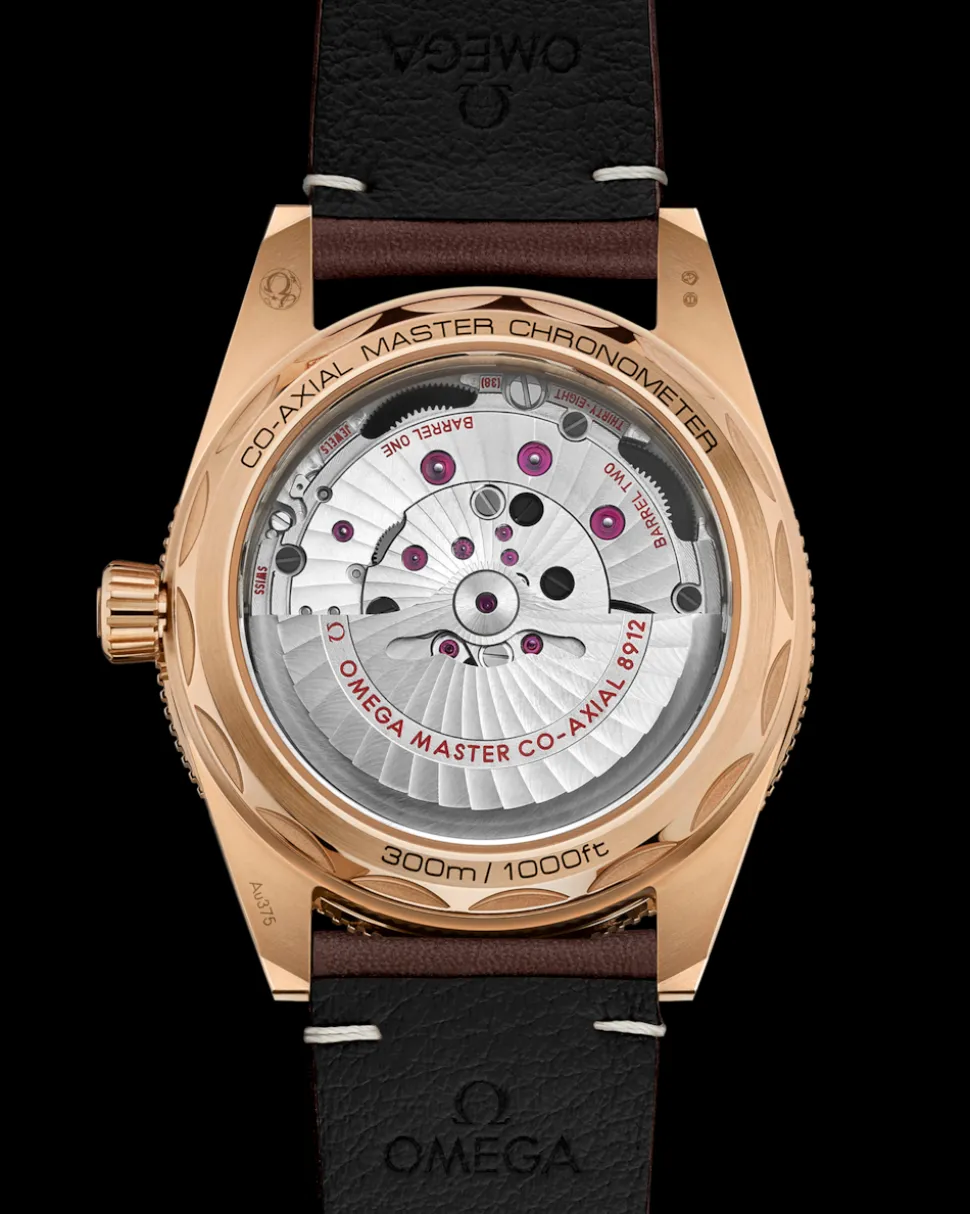 41 mm, Bronze gold on leather strap