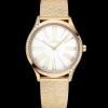 36 mm, Moonshine™ gold on Moonshine™ gold