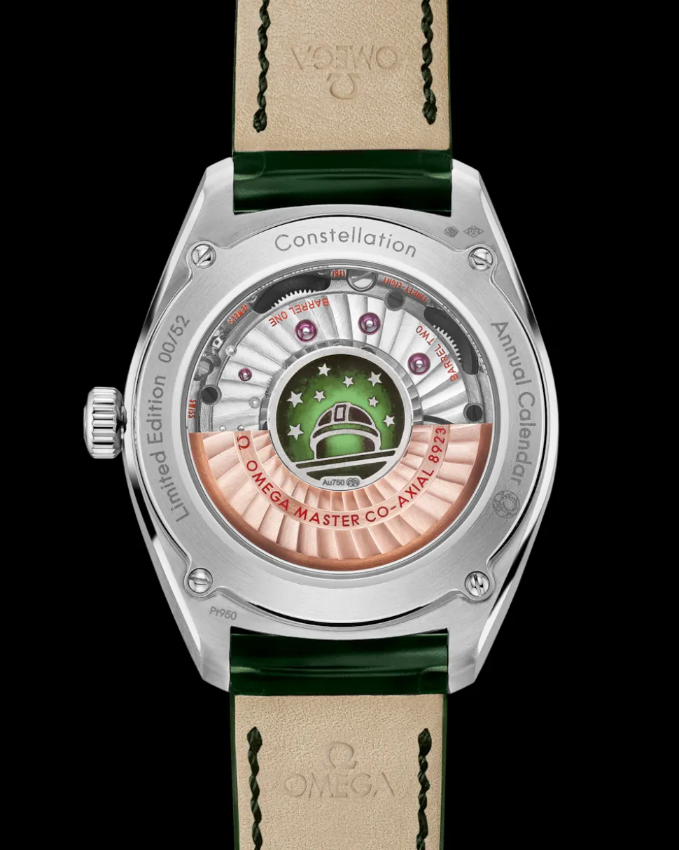 41 mm, platinum on leather strap