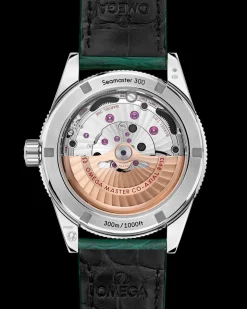 41 mm, platinum on leather strap
