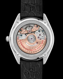 39.5 mm, platinum on leather strap
