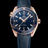 43.5 mm, Sedna™ gold on leather strap with rubber lining
