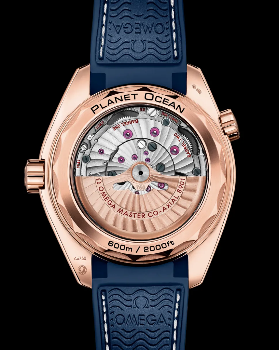 43.5 mm, Sedna™ gold on leather strap with rubber lining
