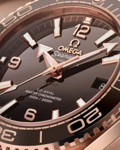 39.5 mm, Sedna™ gold on leather strap with rubber lining