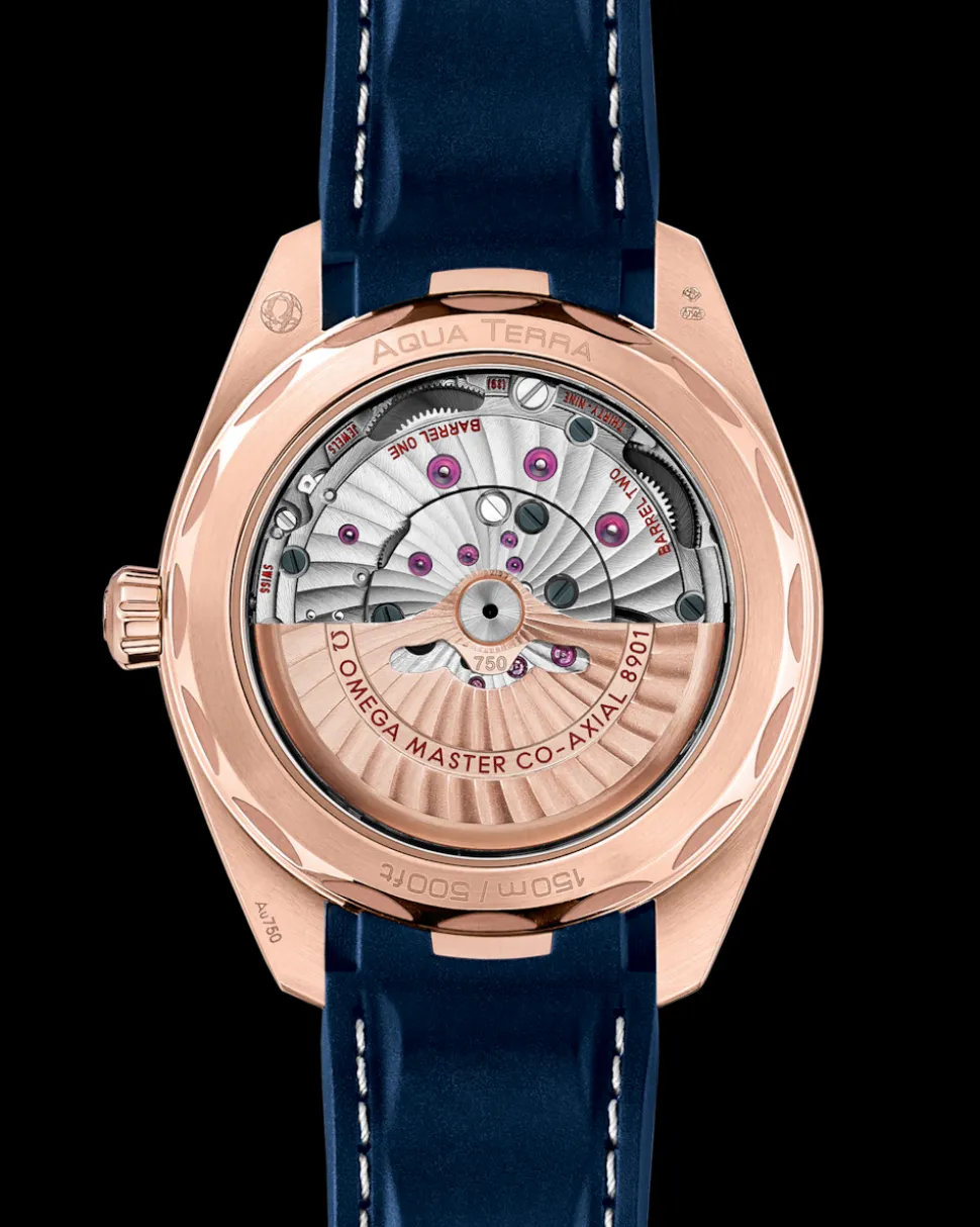 41 mm, Sedna™ gold on rubber strap
