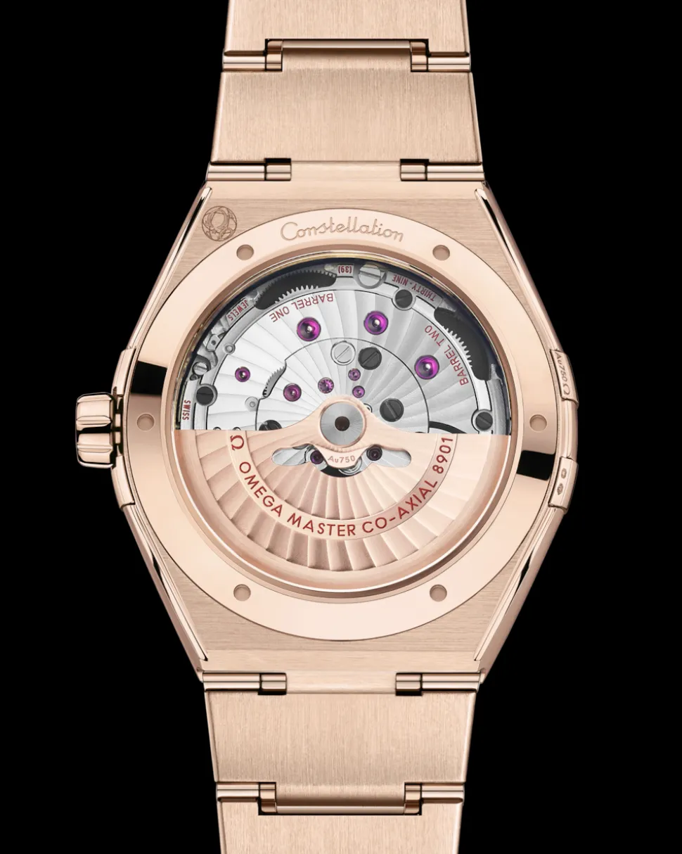 41 mm, Sedna™ gold on Sedna™ gold