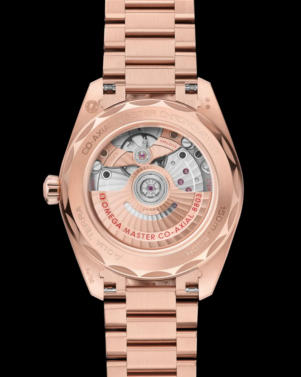 38 mm, Sedna™ gold on Sedna™ gold