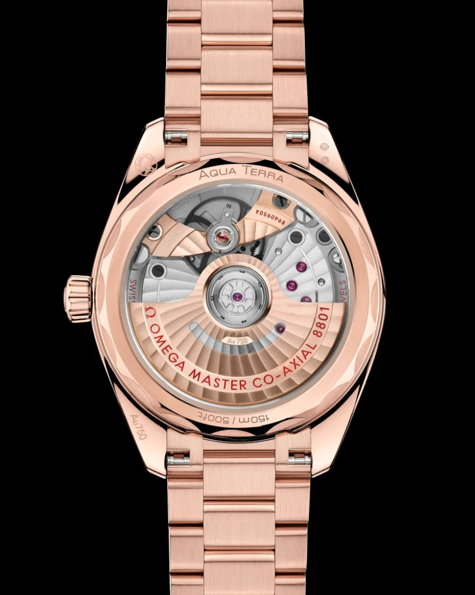 34 mm, Sedna™ gold on Sedna™ gold