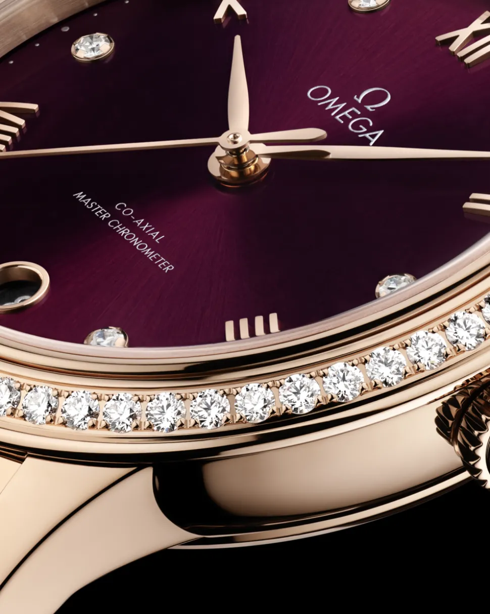 34 mm, Sedna™ gold on Sedna™ gold