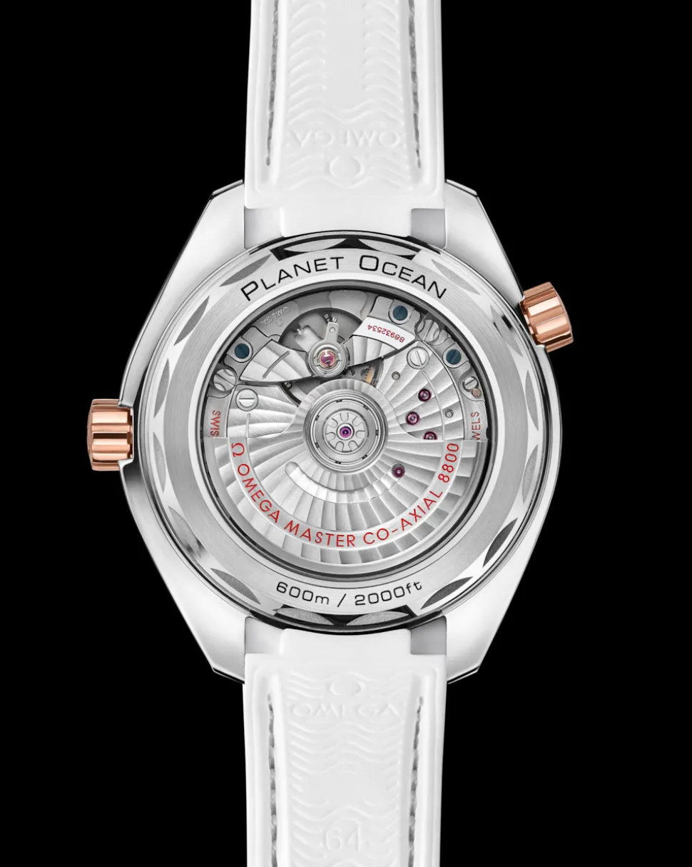 39.5 mm, steel ‑ Sedna™ gold on leather strap with rubber lining