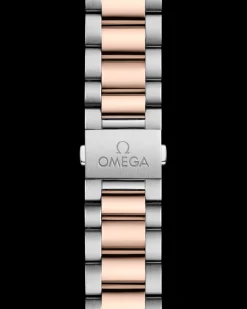 41 mm, steel ‑ Sedna™ gold on steel ‑ Sedna™ gold