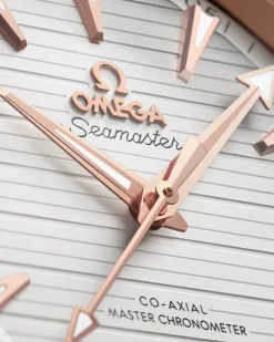 41 mm, steel ‑ Sedna™ gold on steel ‑ Sedna™ gold