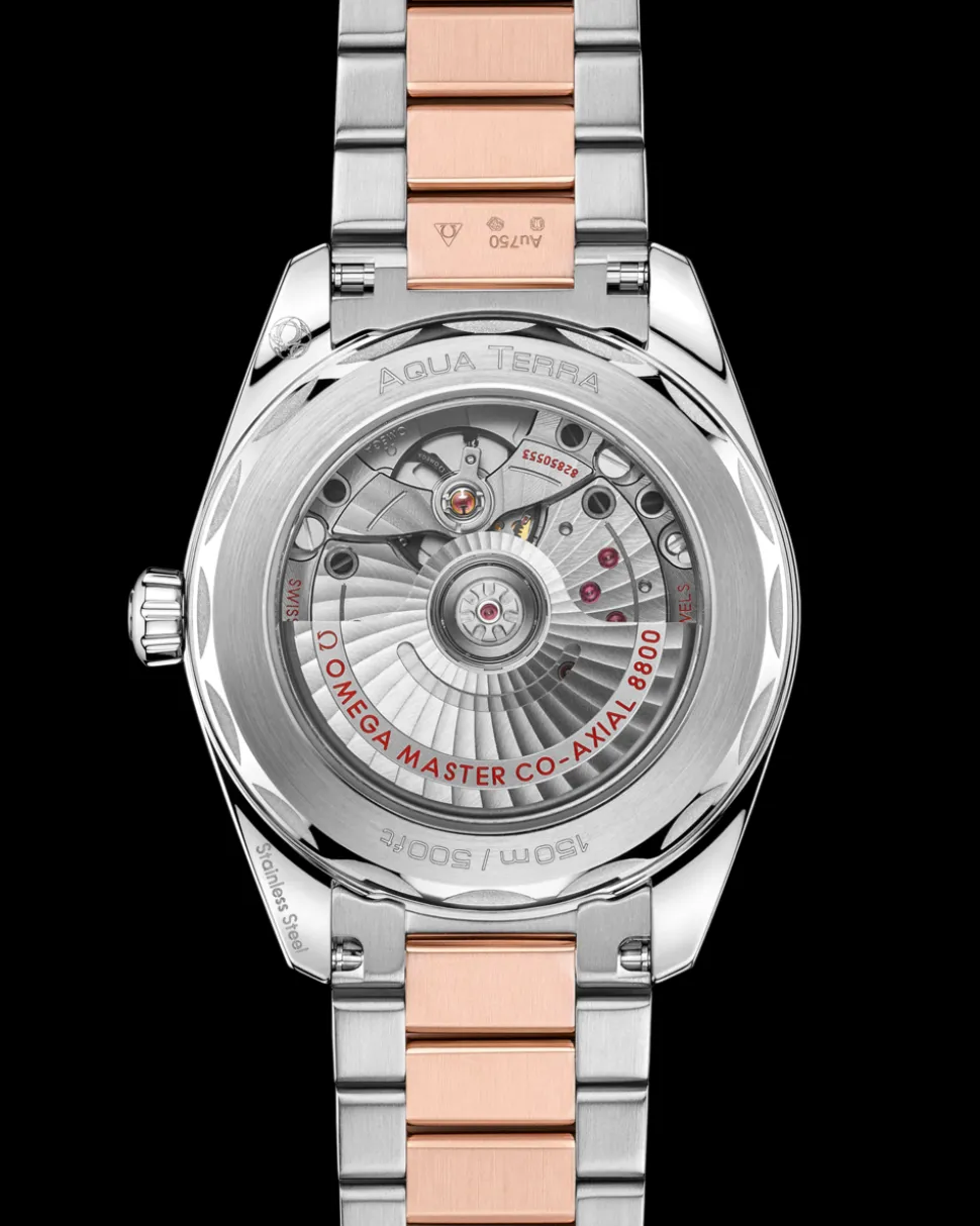 38 mm, steel ‑ Sedna™ gold on steel ‑ Sedna™ gold