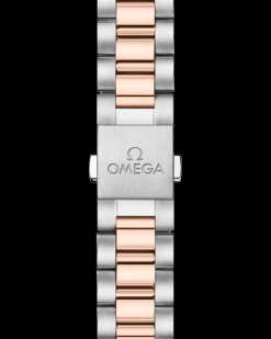38 mm, steel ‑ Sedna™ gold on steel ‑ Sedna™ gold