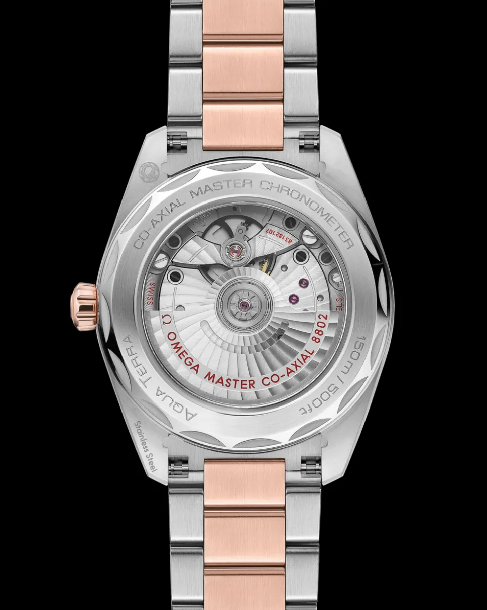 38 mm, steel ‑ Sedna™ gold on steel ‑ Sedna™ gold