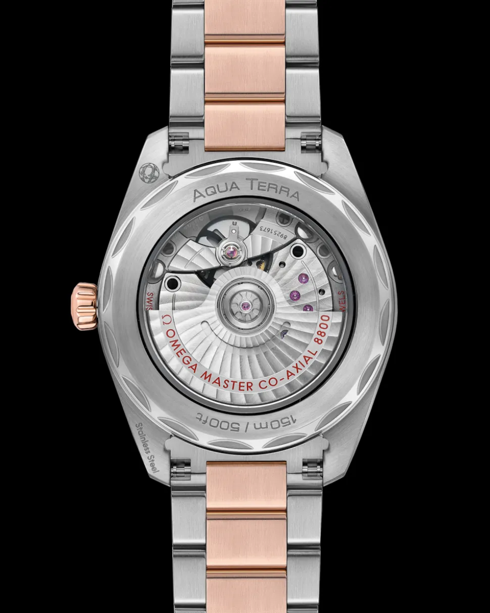 38 mm, steel ‑ Sedna™ gold on steel ‑ Sedna™ gold