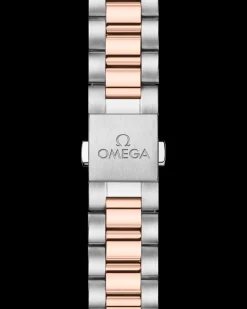 34 mm, steel ‑ Sedna™ gold on steel ‑ Sedna™ gold