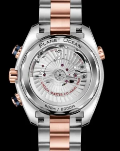 45.5 mm, steel ‑ Sedna™ gold on steel ‑ Sedna™ gold