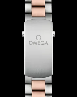 45.5 mm, steel ‑ Sedna™ gold on steel ‑ Sedna™ gold