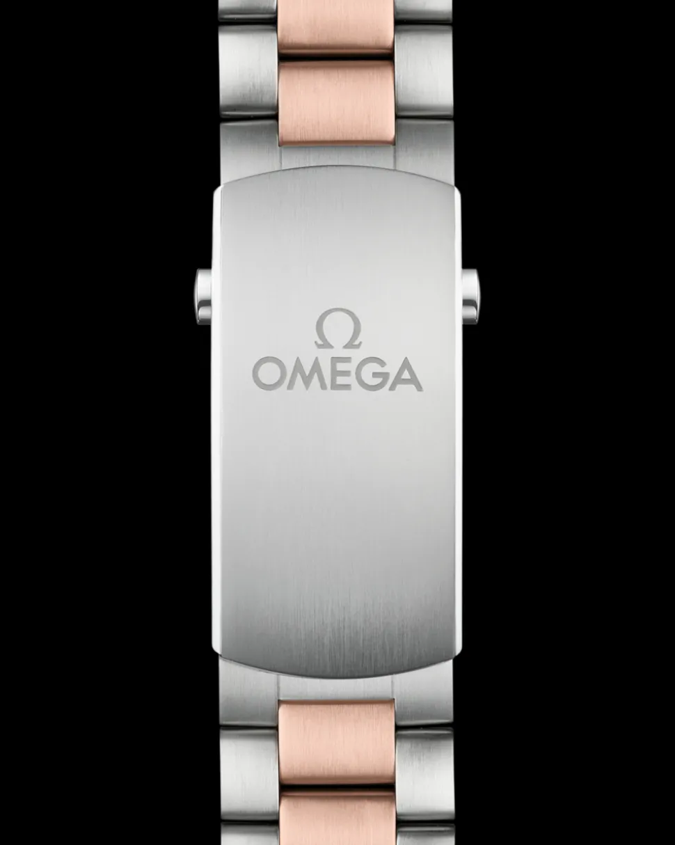 45.5 mm, steel ‑ Sedna™ gold on steel ‑ Sedna™ gold