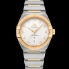 39 mm, steel ‑ yellow gold on steel ‑ yellow gold