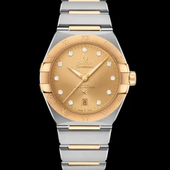 39 mm, steel ‑ yellow gold on steel ‑ yellow gold