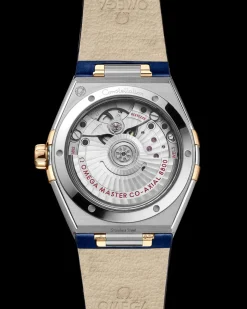 36 mm, steel ‑ yellow gold on leather strap