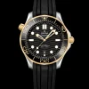 42 mm, steel ‑ yellow gold on rubber strap