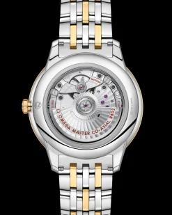 41 mm, steel ‑ yellow gold on steel ‑ yellow gold