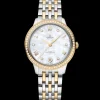 34 mm, steel ‑ yellow gold on steel ‑ yellow gold