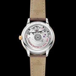 34 mm, steel ‑ yellow gold on leather strap