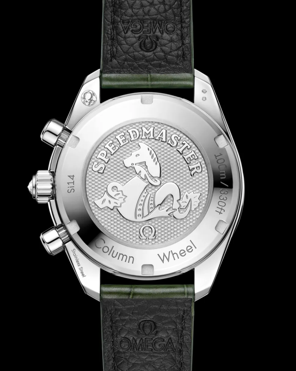 38 mm, steel on alligator