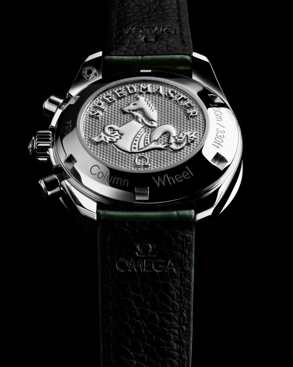 38 mm, steel on alligator