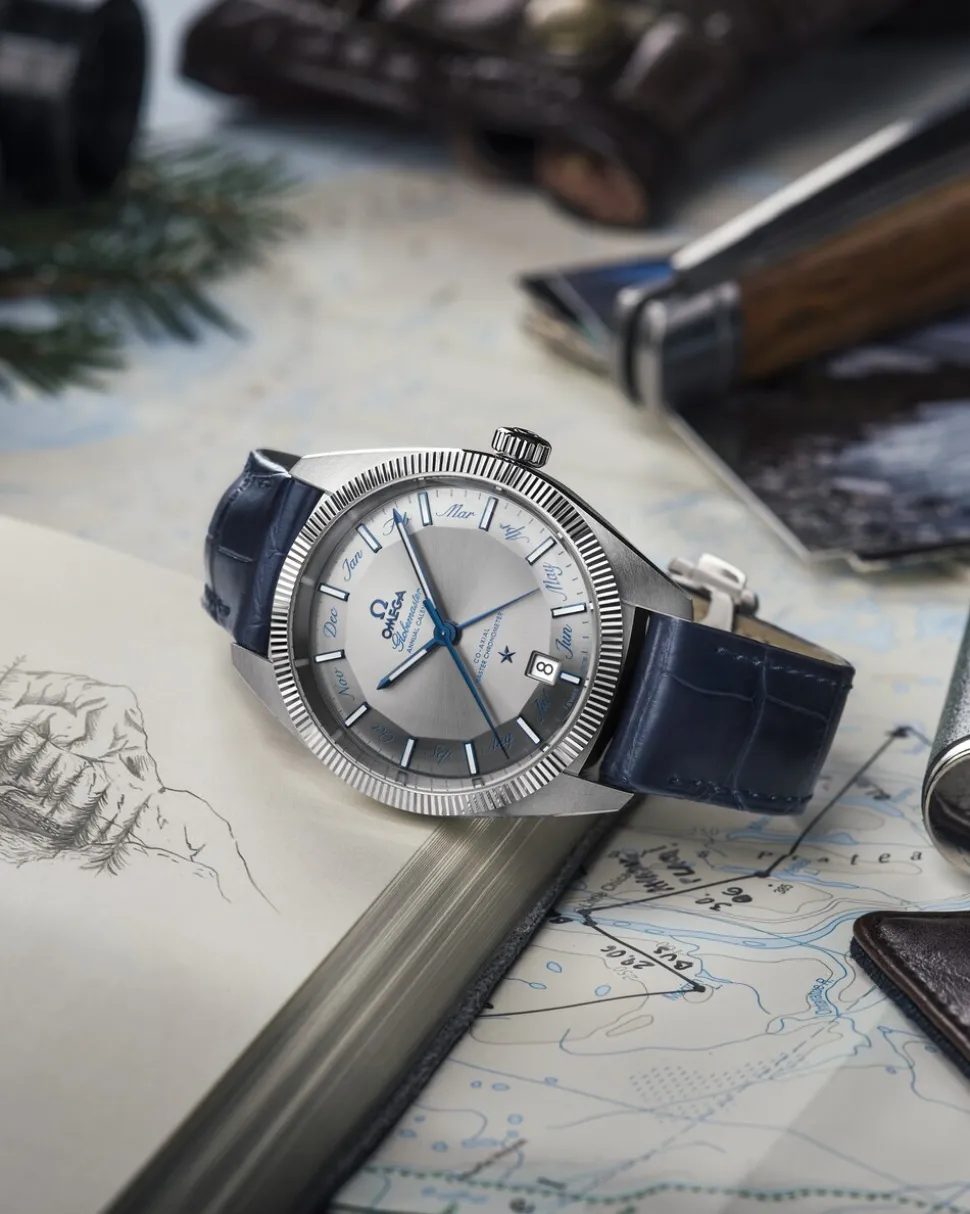 41 mm, steel on leather strap