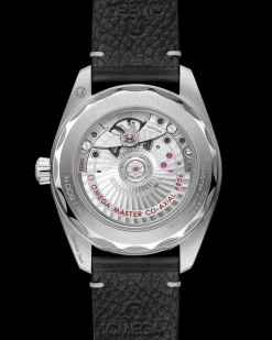 38 mm, steel on leather strap