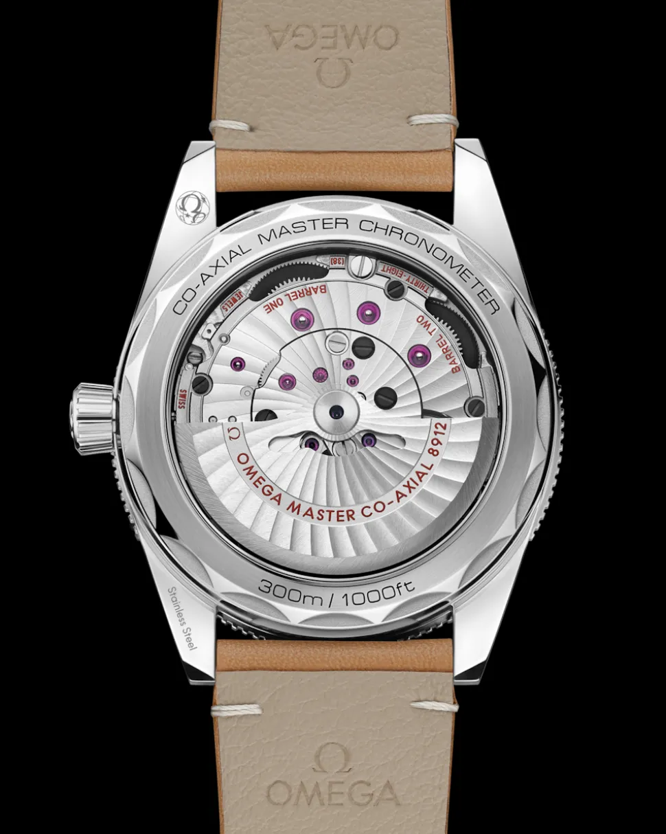 41 mm, steel on leather strap