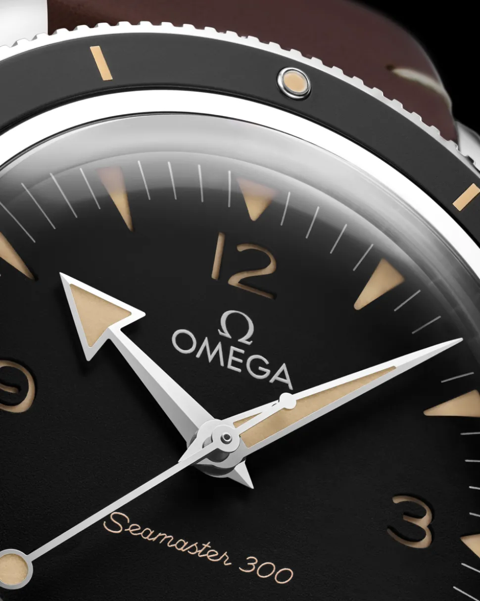 41 mm, steel on leather strap