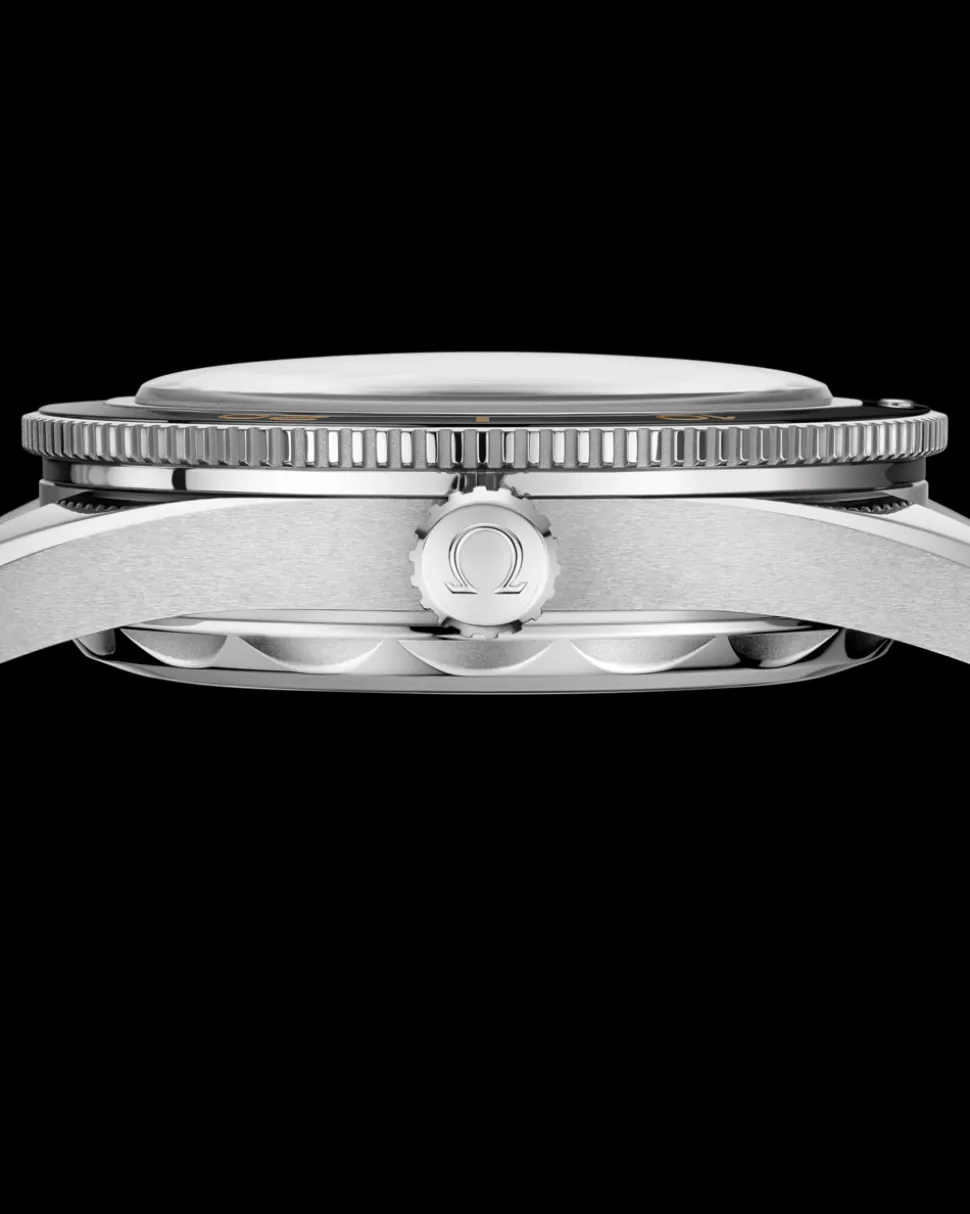 41 mm, steel on leather strap