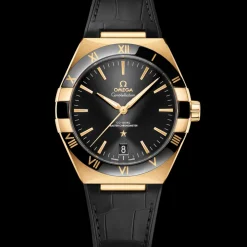 41 mm, yellow gold on leather strap