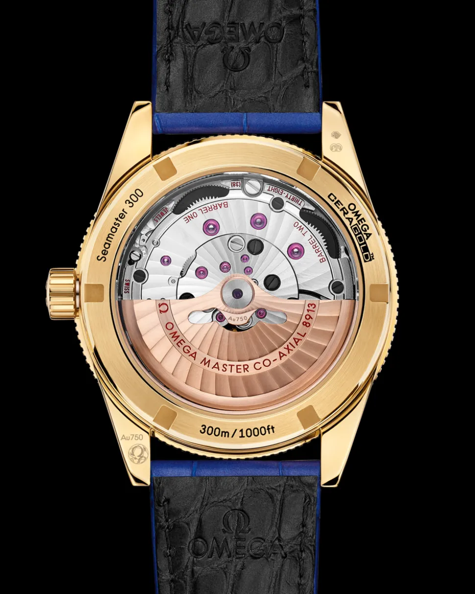 41 mm, yellow gold on leather strap