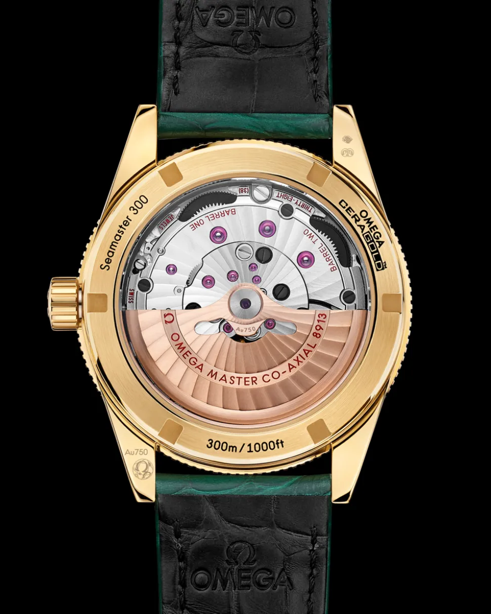 41 mm, yellow gold on leather strap